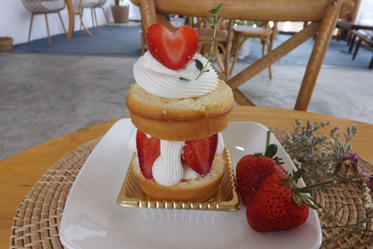 「Jasimine's Cake」のビクトリア・ケーキ 「Jasimine's Cake」のビクトリア・ケーキ