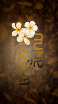 Beloved Frangipani Beloved Frangipani