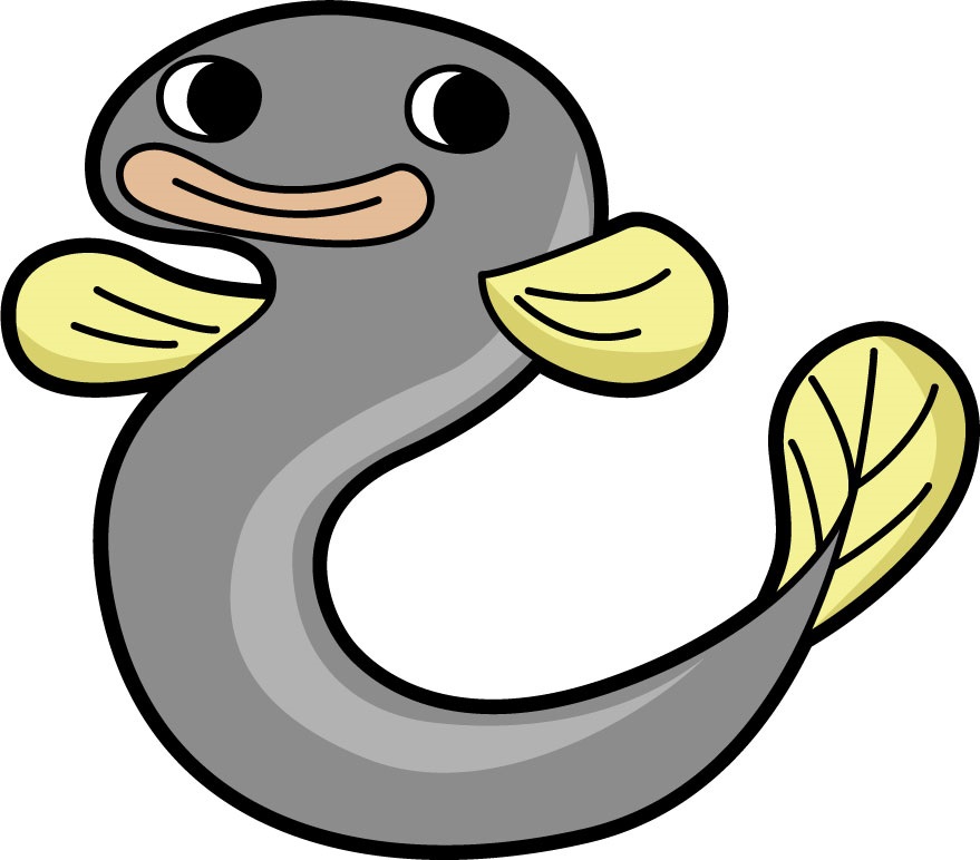 うなぎ うなぎ