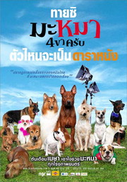 捨て犬マッカムの大冒険 捨て犬マッカムの大冒険