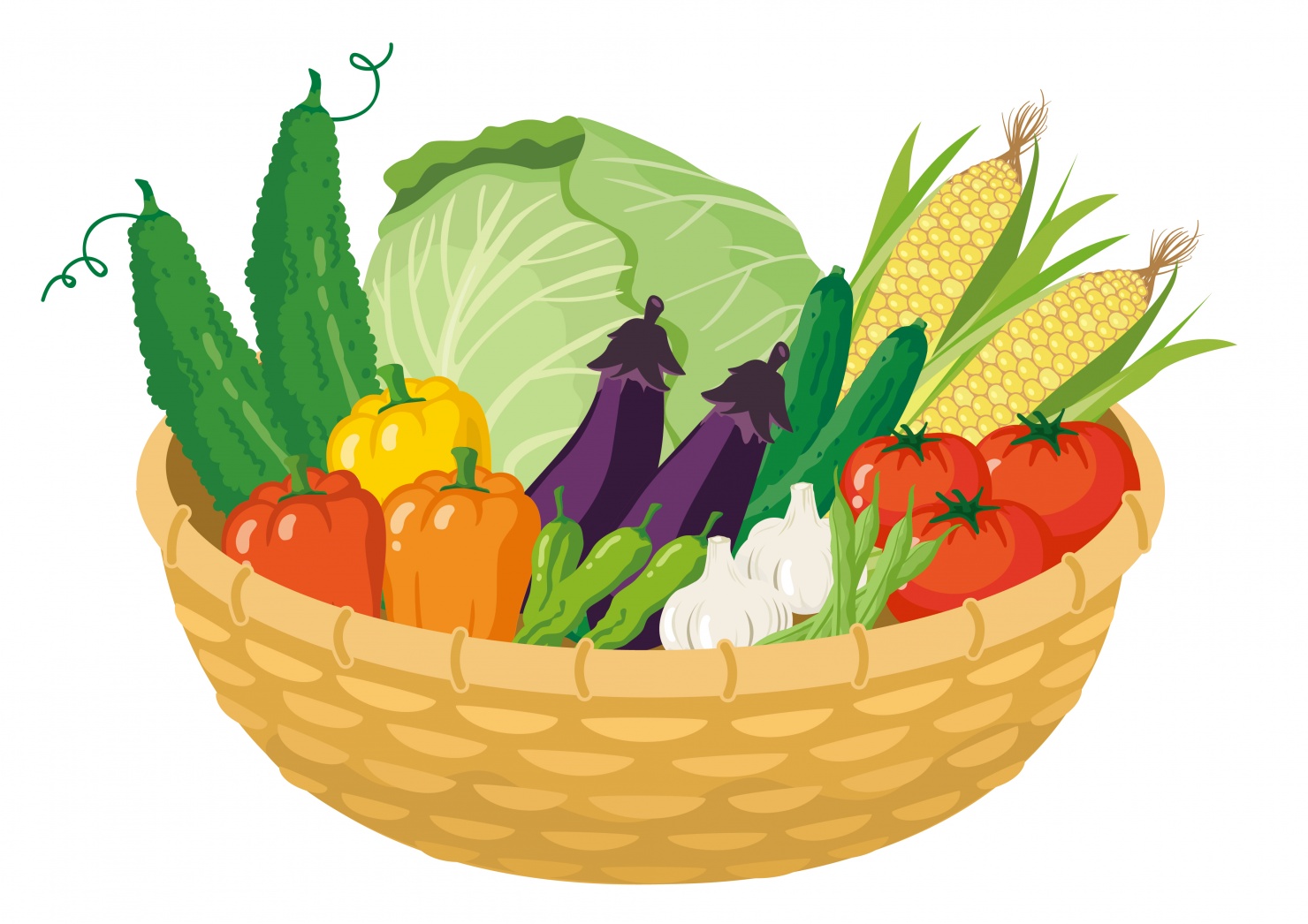 オーガニック野菜