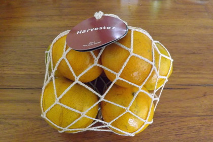 ゴールデン・ハニー（みかん）