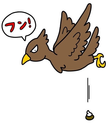鳥のフン