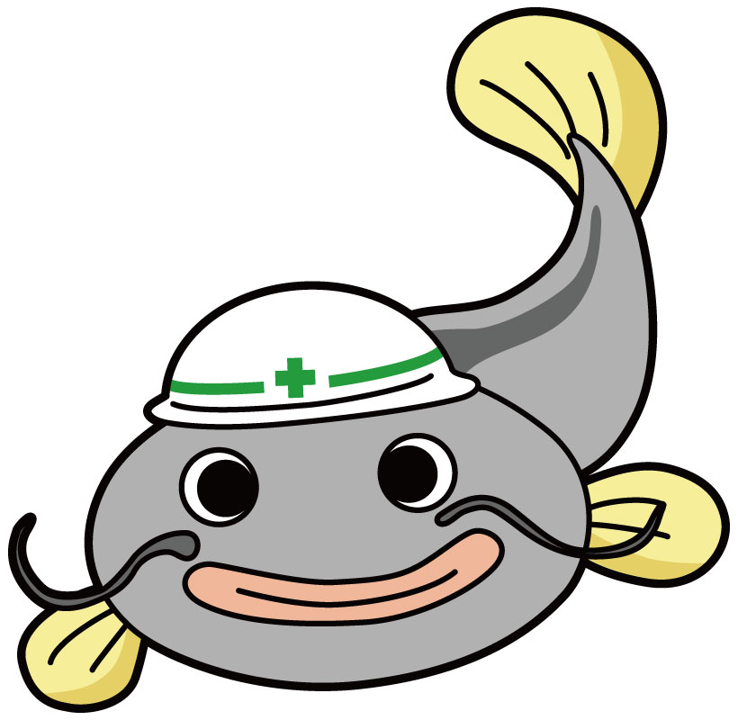 ナマズ